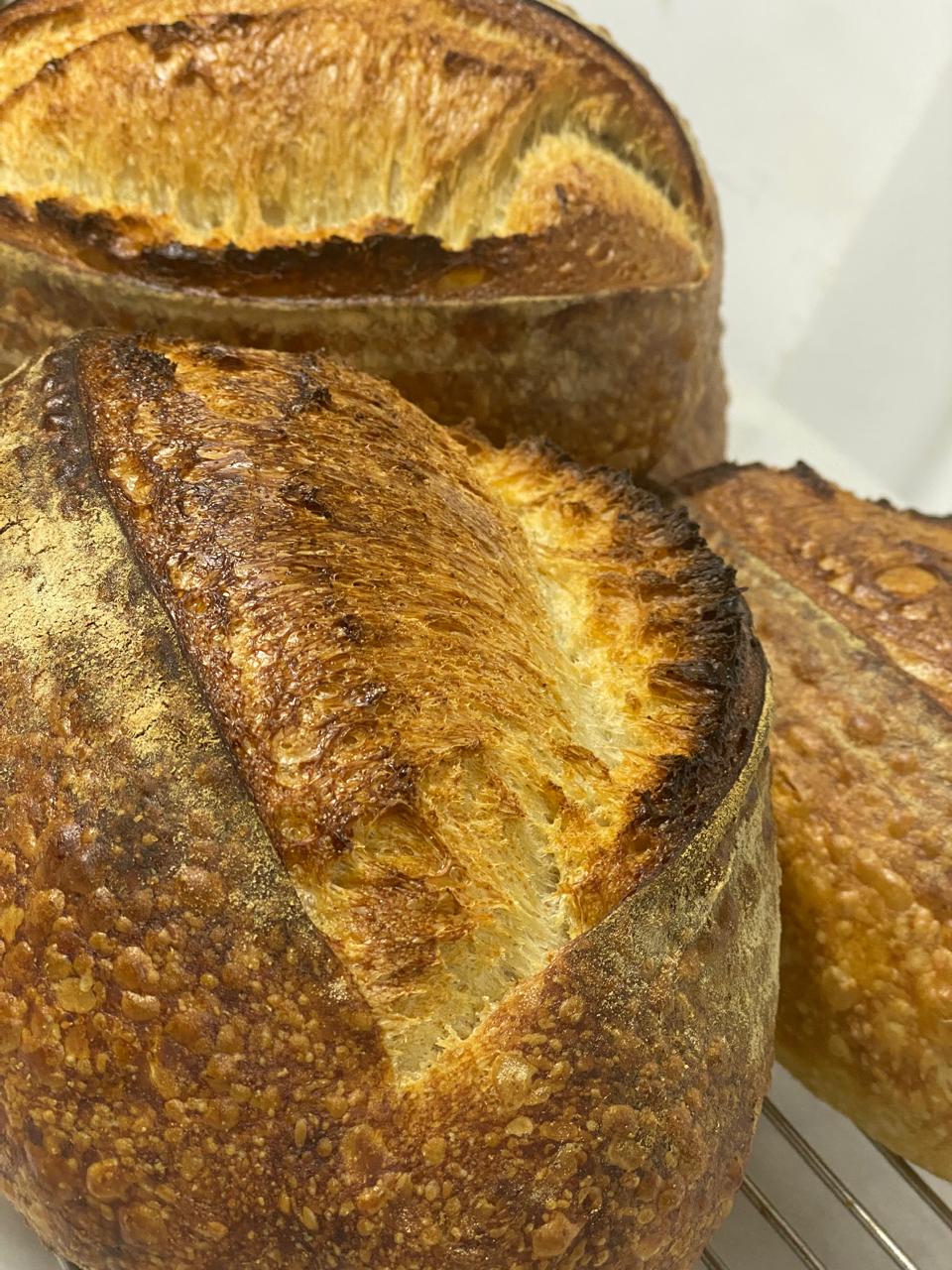 Country Sourdough Loaf