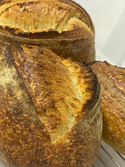 Wholewheat Sourdough Loaf